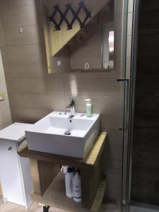 a bathroom with a white sink and a shower at Baita Cima Canale in Malghe Pramarino +3 photos