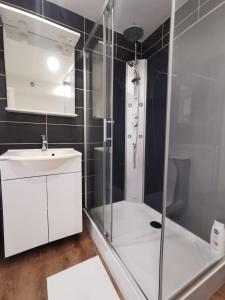 a bathroom with a shower and a sink at Le Vosgien - Hyper center - Calme - Wifi - Spacieux in Épinal