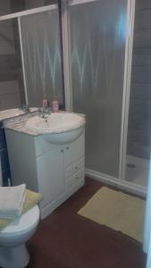 a bathroom with a toilet and a sink and a shower at petit esperantza in Saint-Pée-sur-Nivelle