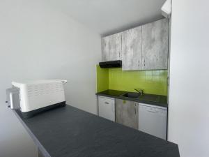 eine Küche mit Spüle und Arbeitsplatte in der Unterkunft Le Monte Cristo in Les Bussolleries + 5 Fotos