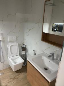 une salle de bain avec un lavabo, des toilettes et un miroir dans l'établissement Vila Balliu, à Buçimas 20 autres photos