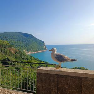 Φυσικό τοπίο κοντά σε αυτό το διαμέρισμα