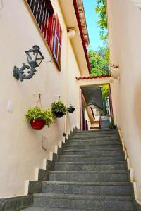 un escalier menant à un bâtiment avec des plantes en pot dans l'établissement Inn House Santa Teresa, à Rio de Janeiro