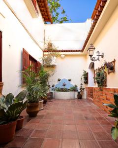 Jardin de l'établissement Inn House Santa Teresa