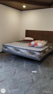 ein Bett mit zwei Kissen darauf in einem Zimmer in der Unterkunft Star Cottage in Munnar