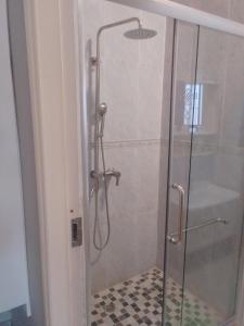 a shower stall with a glass door with a shower at Delta Executive Inn in Salidiro