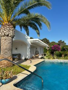 una palmera junto a una casa con piscina en B5 Villa Sueños, en Santo Tomás