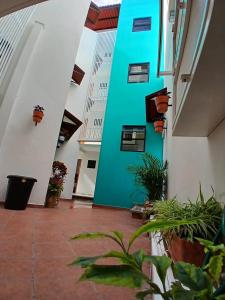 a green wall in a building with potted plants at Posada "CASA BONITA" in La Cal