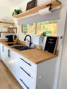 Cargo Casita Shipping Container Tiny Home的厨房或小厨房