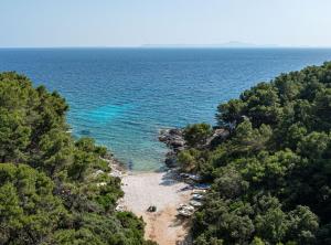 an aerial view of a beach with trees and water at Holiday Home Island Gem in Korčula