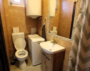 a small bathroom with a toilet and a sink at Áron Apartment in Nyíregyháza +10 photos