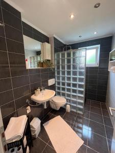 a bathroom with a toilet and a sink and a shower at Villa Pliva Oasis in Jezero