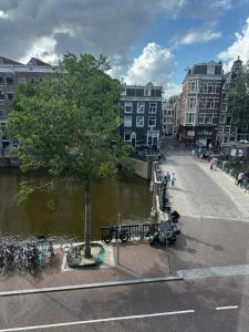 een boom midden op straat langs een rivier bij Boutique Geldersekade in Amsterdam