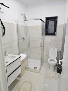 a bathroom with a shower and a toilet and a sink at visitor's house 1 in Rădăuţi +13 photos