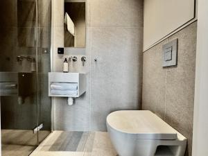a bathroom with a toilet and a shower at Comfy Apartments - Old Town Center in Gdańsk