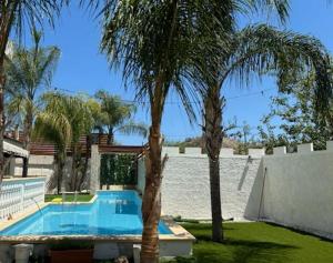 ein Swimmingpool mit Palmen im Garten in der Unterkunft Corte Vena Palace in Bianco