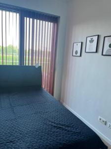 Φωτογραφία από το άλμπουμ του Riverside Apartment Piešťany σε Banka +15 φωτογραφίες