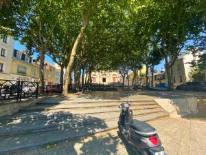 un scooter garé dans une rue avec des arbres dans l'établissement Hypercentre-Plage Cocon Cozy et Chaleureux de 50m2 "LES GALETS", au Havre