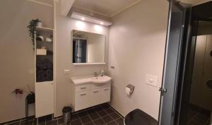 a bathroom with a sink and a mirror at Sentrumsnær sokkelleilighet in Bardu +22 photos