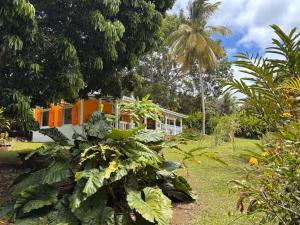 a house in the middle of a garden with plants at Kaz'Arawak in Sainte-Rose +9 photos