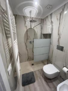 a bathroom with a white toilet and a shower at South Blue Apartment in Trani +1 photo