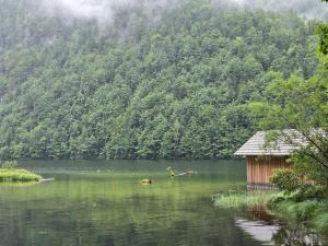 a house in the middle of a body of water at Kirchengasse 162 - Alte Post II in Bad Aussee