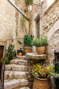 圣保罗-德旺斯Apt Cezanne的建筑一侧有盆栽植物的石阶