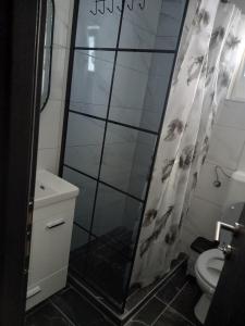 Ένα μπάνιο στο Studio Apartment