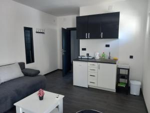 Η κουζίνα ή μικρή κουζίνα στο Studio Apartment