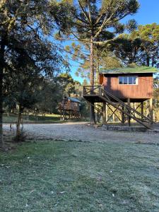 a small wooden cabin with a tree at Cabanas Imbuia in Cambara do Sul