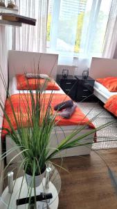- une chambre avec deux lits et une plante en pot dans l'établissement City Appartements Mainz, à Mayence