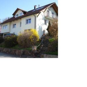 Una gran casa blanca con algunos arbustos y árboles. en Ferienwohnung Dieterle, en Wutöschingen