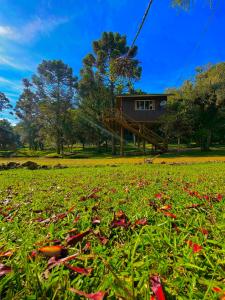 a green field with red flowers in front of a house at Cabanas Imbuia in Cambara do Sul