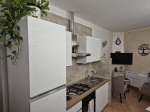 a kitchen with a white refrigerator and a sink at Pagliari12 in Ronciglione
