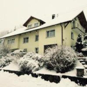 una casa con techo cubierto de nieve en un patio en Ferienwohnung Dieterle, en Wutöschingen