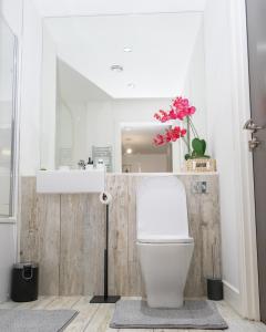 une salle de bain avec toilettes, lavabo et miroir dans l'établissement Cozy Modern Apt MCR City Centre, à Manchester