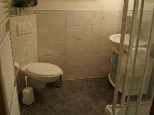 a bathroom with a toilet and a sink at Fewo Bella Margitta Baumann in Stegen