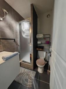 ラ・グランド・モットにあるStudio Bord de mer Bleu Horizonのトイレとシャワー付きのバスルーム