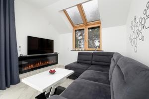 a living room with a couch and a fireplace at Amber Baltic Apartment by Solarento in Niechorze
