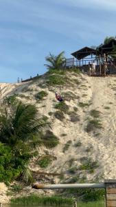 a sandy beach with palm trees on top of it at Chalé sítio Cumbe in Aracati +3 photos
