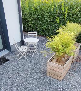 uma mesa e duas cadeiras e uma mesa e duas plantas em Le cocon du Duc em Namur