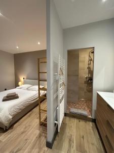 a bedroom with a bed and a walk in shower at Ancien Pigeonnier Centre-Ville historique de Vesoul Bain nordique Terrasse Jardin Animaux bienvenus in Vesoul