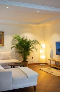 a living room with a couch and a plant at Ferienhaus Fringaluna in Übersee