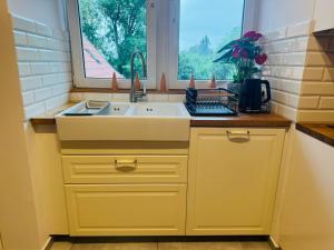 a kitchen with a sink and a window at Rezydencja pod Borową in Jedlina-Zdrój +41 photos