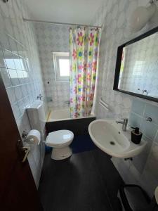 a bathroom with a white toilet and a sink at Rooms Danica in Donji Babin Potok +40 photos