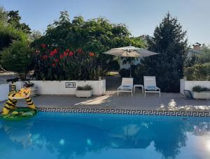 a swimming pool with a tiger toy in the middle of it at A CASA FRANCESA in Anceriz