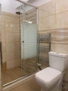 a bathroom with a toilet and a shower at Romanza Villas in Sitia +28 photos