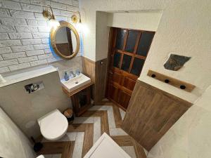 a bathroom with a toilet and a sink and a mirror at AgroStudio  +12 photos