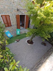a garden with a tree and a blue chair at Appartamento La Ciliegia in Sovere +16 photos