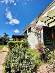 a house with a green window and some bushes at Villa Silvana Quiet Escape in Bolsena